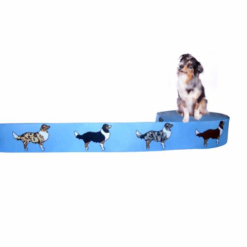 Webband Hund "Australian Shepherd" Borte, 20mm, blau, Hunde, Aussieborte, 1 Meter
