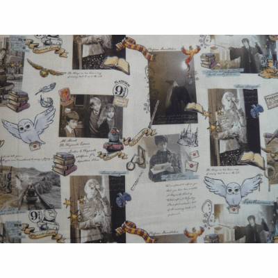 14,50 EUR/m Stoff Baumwolle Harry Potter Magical auf weiß, Lizenzstoff