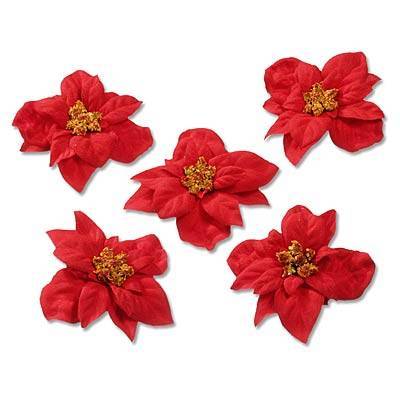 12 Weihnachtssternblüten rot