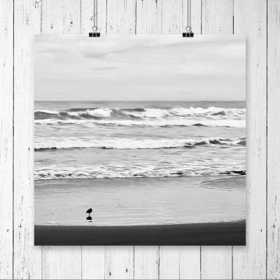 Meer und kleiner Vogel am Strand, Kunstdruck in schwarzweiß, monochrom, Fotografie und stimmungsvolle Wanddekoration