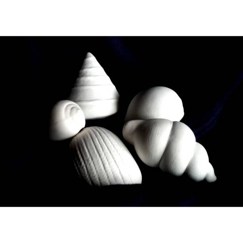 Schrühware,Bastelset,verschiedene Muscheln und Schnecken, Kindergeburtstag,Keramik zum selbstbemalen