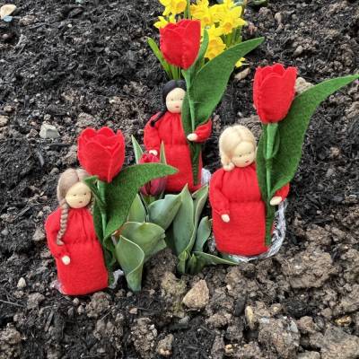 Tulpe - Jahreszeitentisch  - Blumenkinder - Frühling