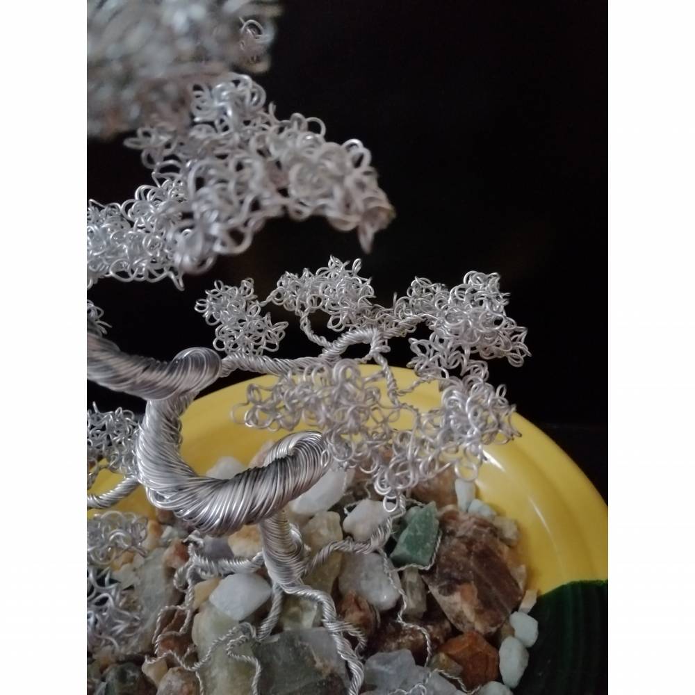 foe bonsai shop Premium Liquid Bonsai Plant Fertilizer main image 1