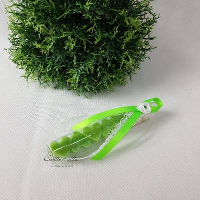 Gastgeschenk mit 5 Seifenherzen i. Reagenzglas GRÜN - APFEL