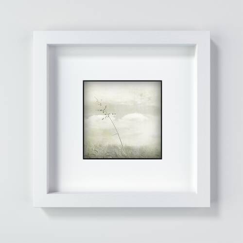 Kunstdruck und Fotografie, Gras und Wiese, Bild vintage, sepia, filigranes Naturmotiv, 13 x 13 und 20 x 20 cm