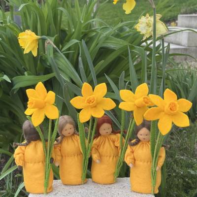 Narzisse/Osterglocke - Jahreszeitentisch  - Winter - Blumenkinder - Frühling