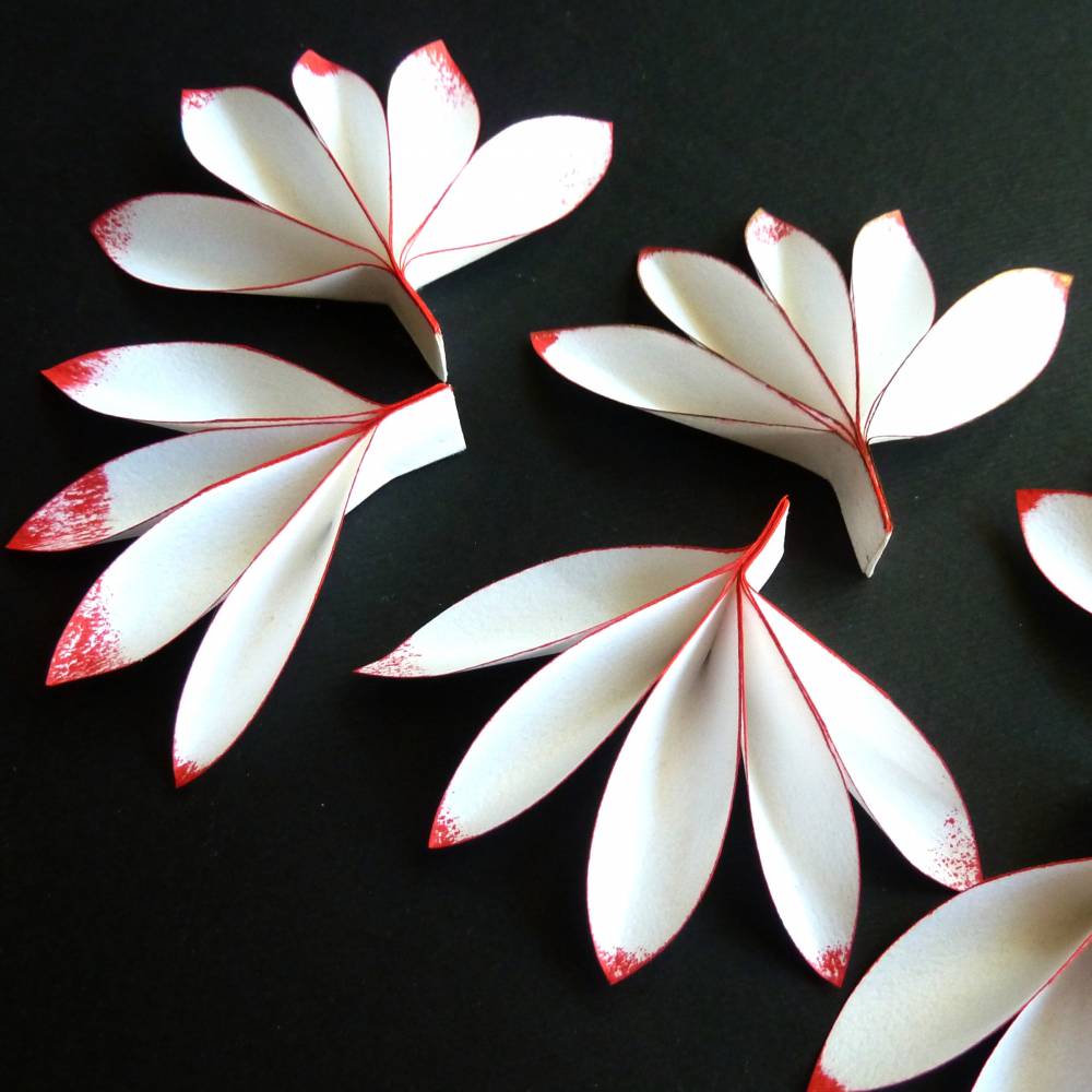 Zarte Blüten auf schwarz // 3D-Wandbild im Objektrahmen Bild 2