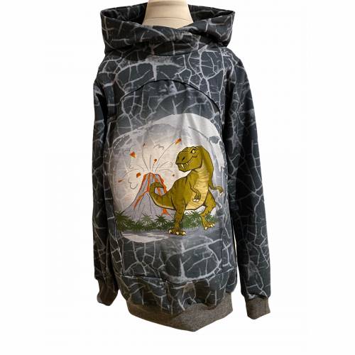 Pullover Dinosaurier
