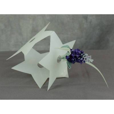 Bastel-Set Reagenzglas-Halter für 1 Glas Stern