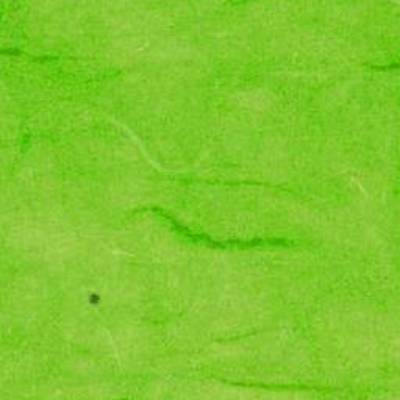 Strohseidenpapier 50x70 cm Apfelgrün