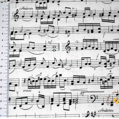 19,00 EUR/m Meterware Timeless Treasures Musik Noten US-Designerstoff Kissen Decken Taschen Accessoires Deko