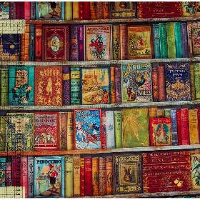 19,00 EUR/m Meterware Bücher Library Robert Kaufmann US-Designerstoff Accessoires Kissen Decken Taschen