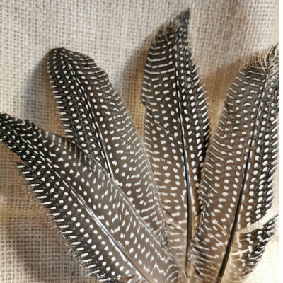PERLHUHN FEDERN 22 cm – Natürliche Deko Federn für Basteln & Hutschmuck  (Fed4)