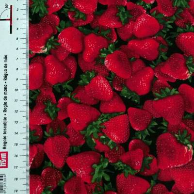 19,00 EUR/m Meterware Timeless Treasures Fruit Erdbeeren US-Designerstoff für Kissen Decken Taschen Küchen-Accessoires