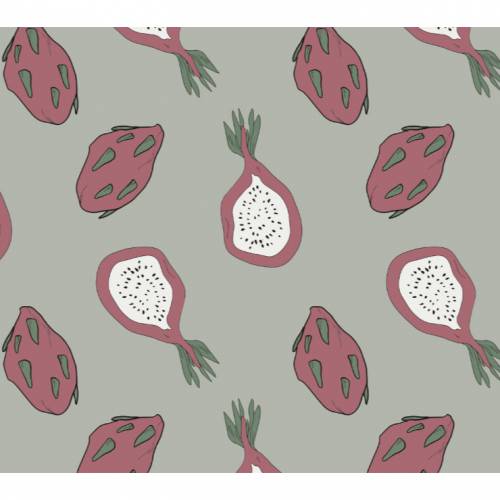 ab 50cm Bio Jersey Drachenfrucht graublau - Druckstoff GOTS Dragonfruit Obst