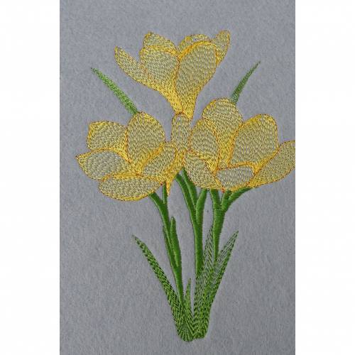 Ostern Krokus 12 x 16 cm