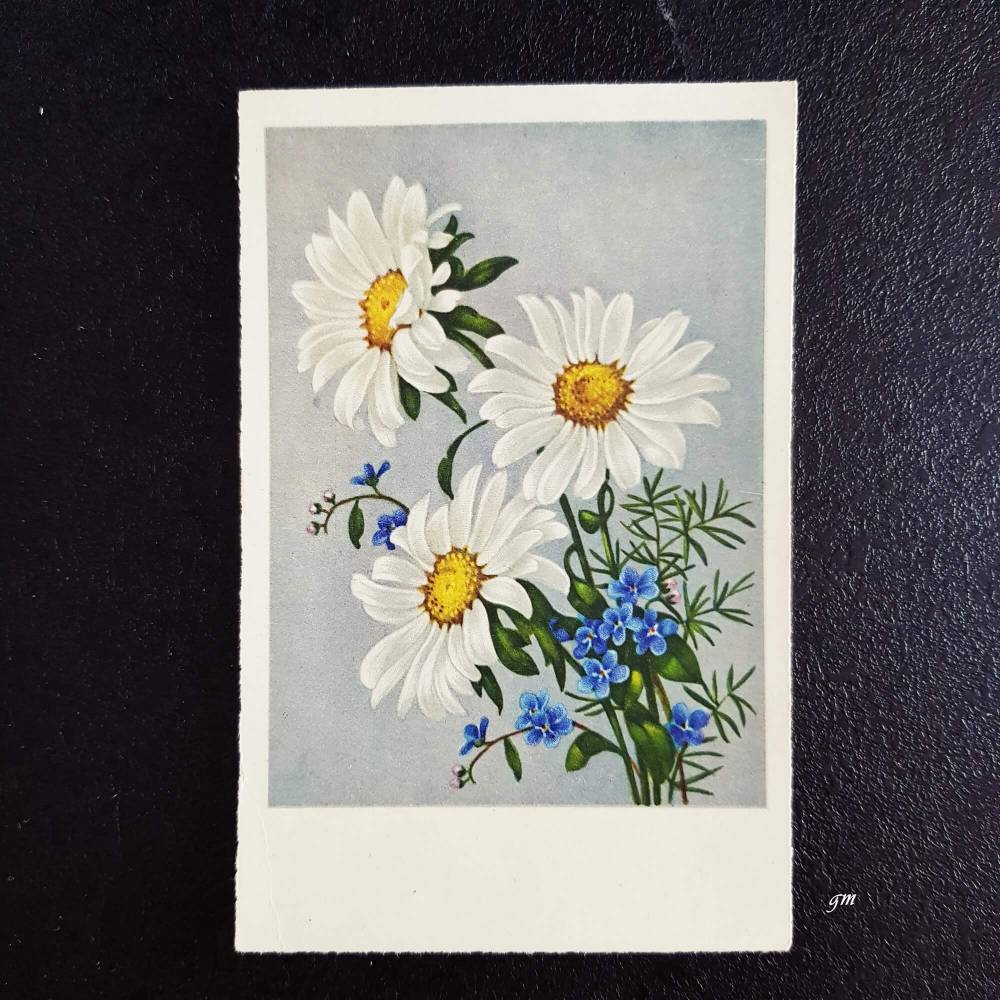 Kunstkarte, Postkarte, vintage, Malerei, Blumenkarte mit Margariten und Asparagusstengel, ZDB 18063 Bild 1