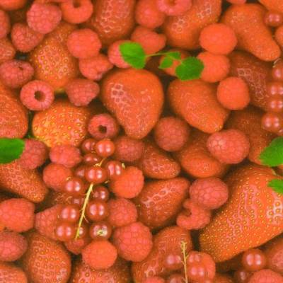 Transparentpapier Rolle 50,5x70 cm Beeren