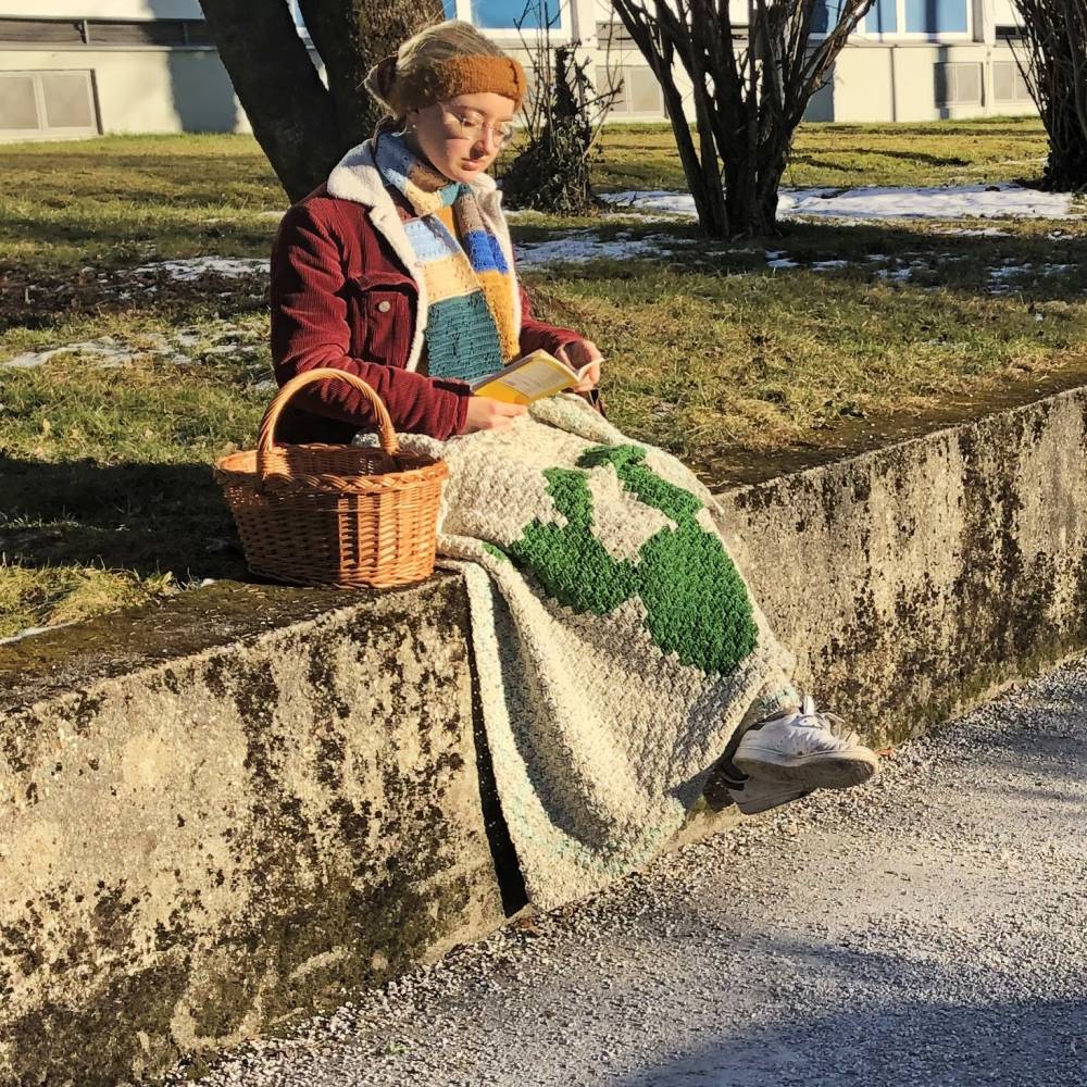 C2C Anleitung Kaktusdecke Cactulian, häkeln Bild 3