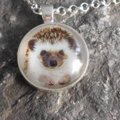 Igel  Cabochon verspielt Kette kawaii