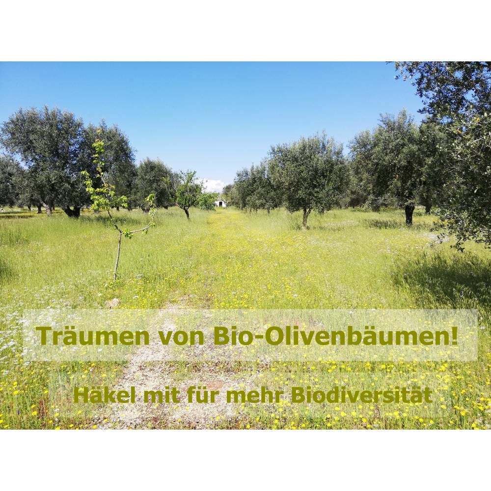 Anleitung zum Häkeln Babydecke Kaktus Cactulianne, Häkelanleitung Bild 7