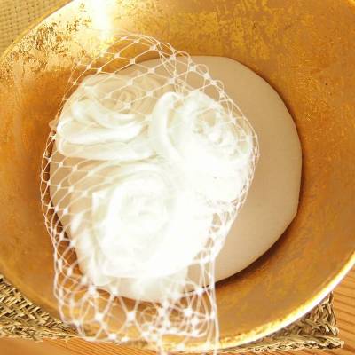 Fascinator Rosen und Schleier