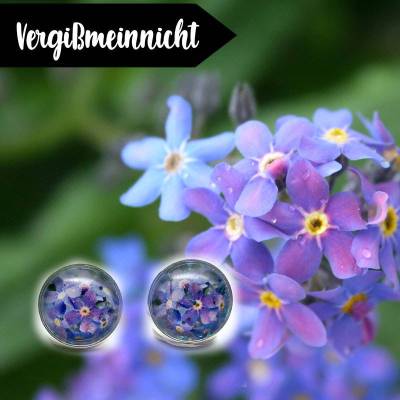 Nostalgie Vergissmeinnicht Ohrstecker