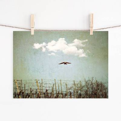 Weinberg, Falke und Wolke, Kunst und Druck im Vintage Look, 21 x 28 cm und 30 x 40 cm