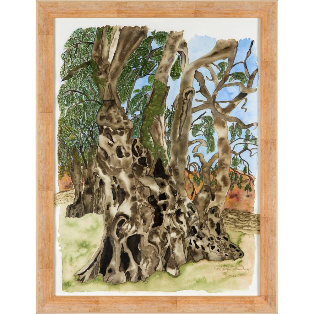 2000-jhriger Olivenbaum in Pedras d'el Rei (Portugal) - Original  Aquarellmalerei, gerahmt