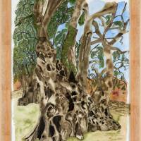 2000-jhriger Olivenbaum in Pedras d'el Rei (Portugal) - Original  Aquarellmalerei, gerahmt