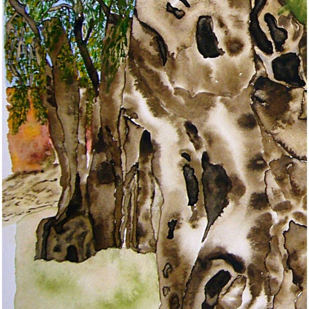 2000-jhriger Olivenbaum in Pedras d'el Rei (Portugal) - Original  Aquarellmalerei, gerahmt