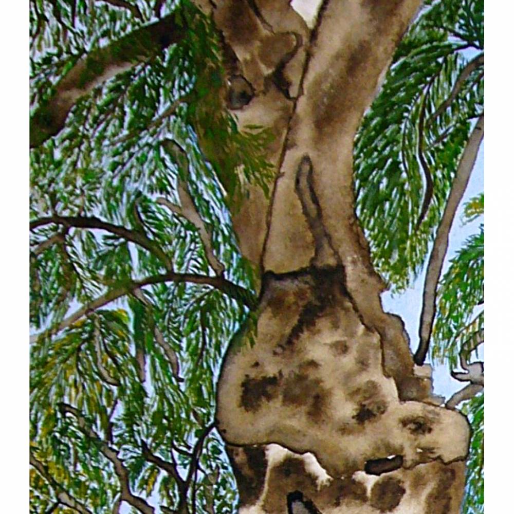 2000-jhriger Olivenbaum in Pedras d'el Rei (Portugal) - Original  Aquarellmalerei, gerahmt