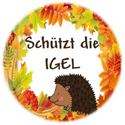 Button/Magnet D=38mm – Schützt die Igel, Umwelt & Natur – Handgefertigt