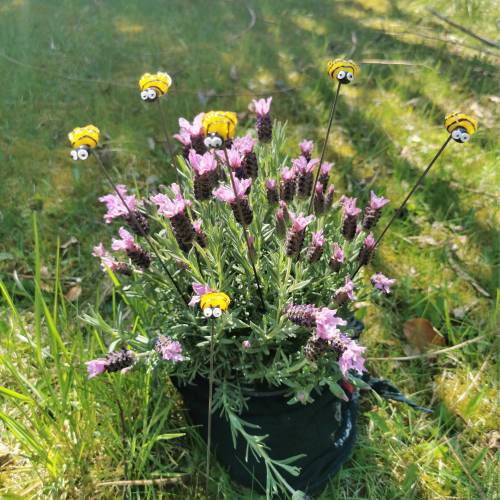 Blumenstecker SummSummBienchen