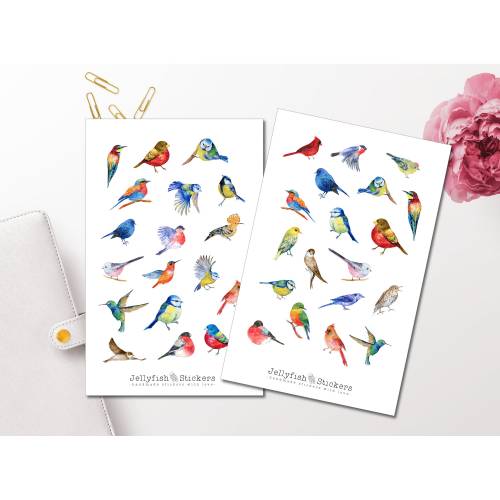 Vögel Sticker Set - Journal Sticker, Planer Sticker, Natur, Bunte Sticker, Garten, Memory Planner, Vogel Sticker Sheet