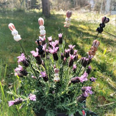 Blumenstecker Hoppelhasi