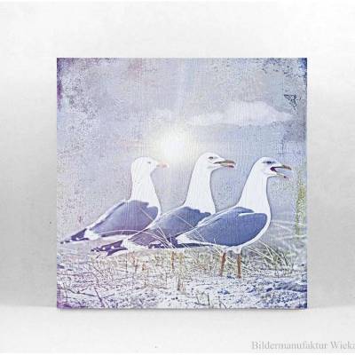 MÖWEN SNACK Maritimes Wandbild auf Holz Leinwand Print Wanddeko Landhausstil Vintage Shabby Chic handmade kaufen