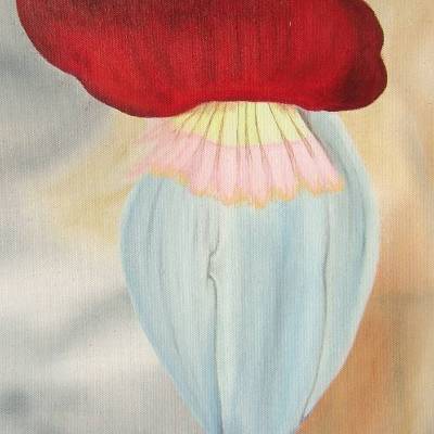 Leinwandbild "Kakaoblüte" 30cm x 40cm