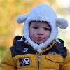Bild 7