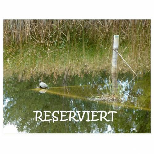 RESERVIERT für Rosmarie