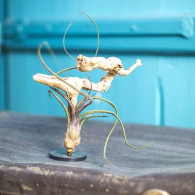 Treibholz-Skulptur "Dancing Queen"