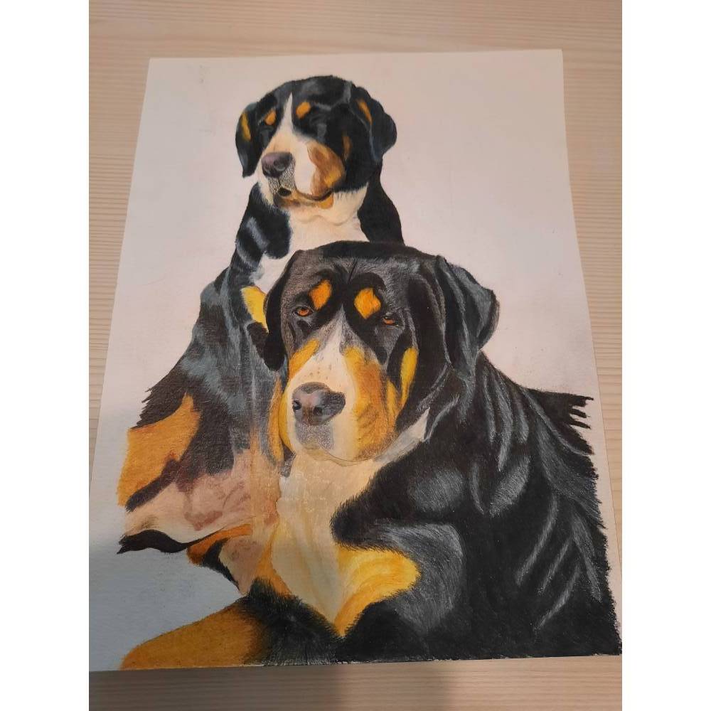 Handgemalte Tierportaits mit Pastellkreide und Pastellstiften inA6, A5 und A4 aber auch größere möglich Bild 9