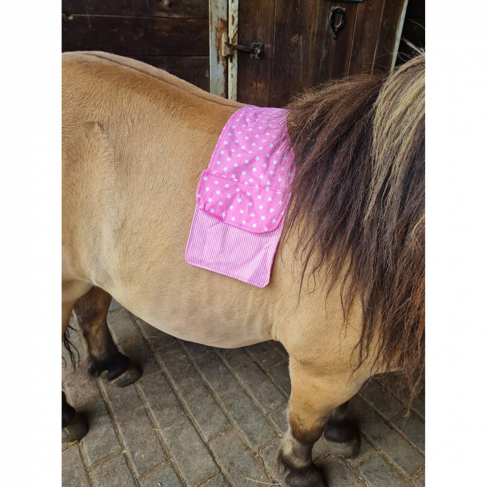 Ebook Satteltasche Carry On Bild 9