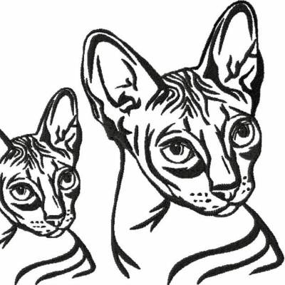 Stickdatei Katze Sphynx- bunt- 97x137 140x197  mm
