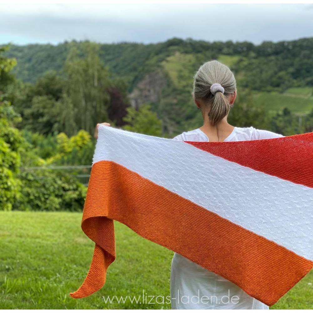 Strickanleitung Lizas Color Blocking Tuch Bild 9