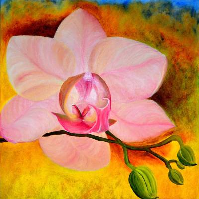 Rosa Phalaenopsis Orchideenblüte mit Knospen - Ölmalerei, Unikat