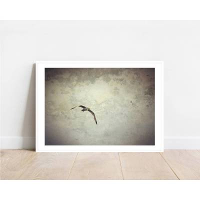 Kunstdruck Möwe „Zwischen den Gedanken“ Modernes Wandbild in Erdtönen und Stein-Optik, 30 x 45 cm und 20 x 30 cm 