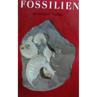 Fossilien - Urkunden vergangenen Lebens