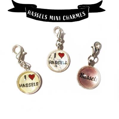 Unikat Heimatmotiv Hassels Mini Charmes
