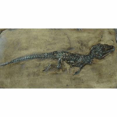 Krokodil Reptil Fossil aus der Grube Messel; Echse, Tier Nachbildung in Museums Qualität; Fossilien Replikat, Abdruck